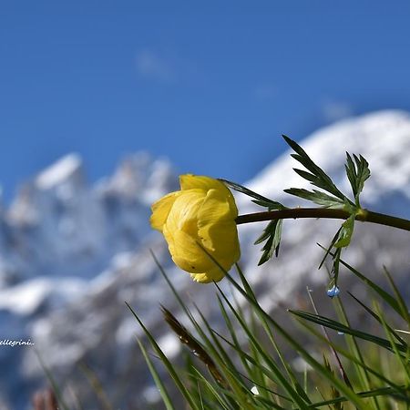 Albergo Ombrettola Falcade Bagian luar foto